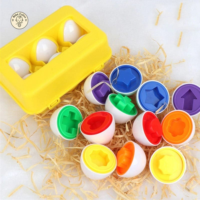 Jouet oeufs Montessori éducatifs