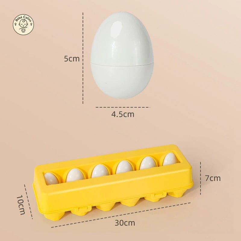 Jouet oeufs Montessori éducatifs