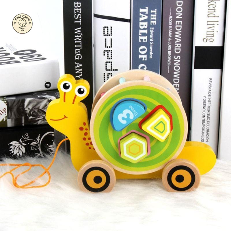Animaux à Tirer avec Puzzle 3D en Bois
