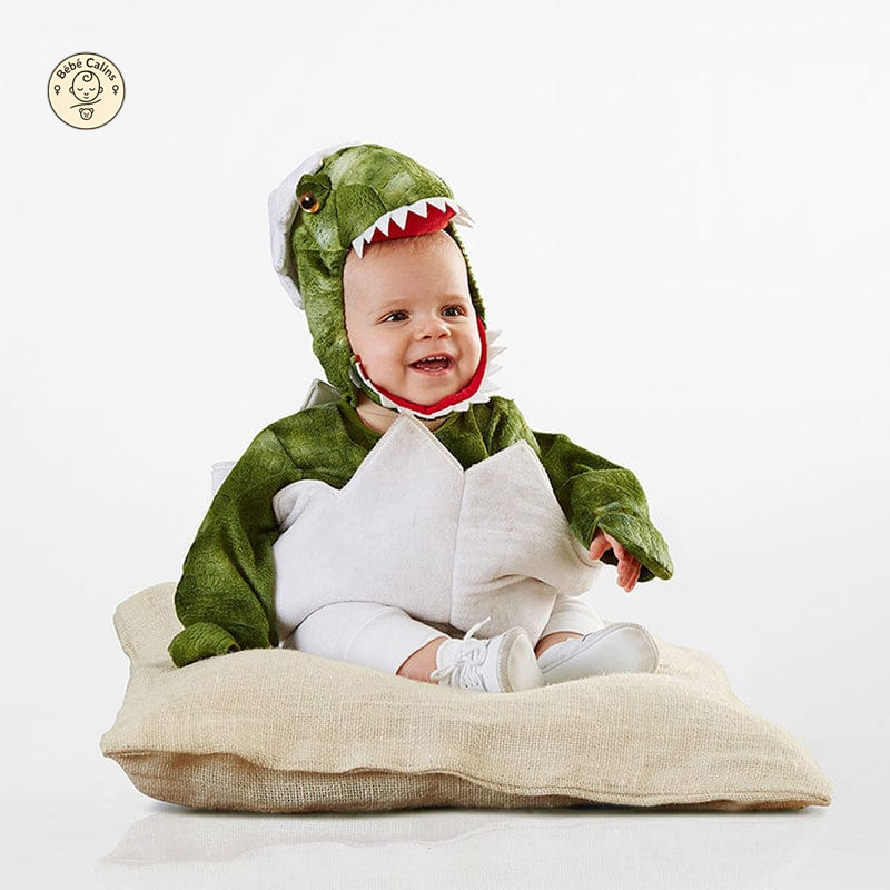 Déguisement Dinosaure Bébé avec Bonnet Vert