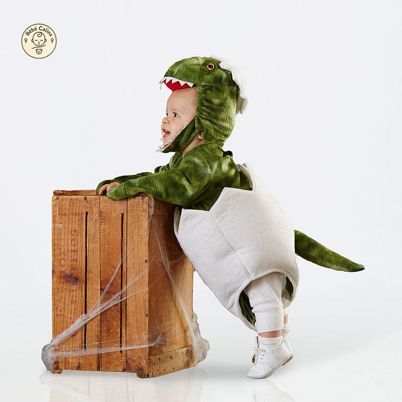 Déguisement Dinosaure Bébé avec Bonnet Vert