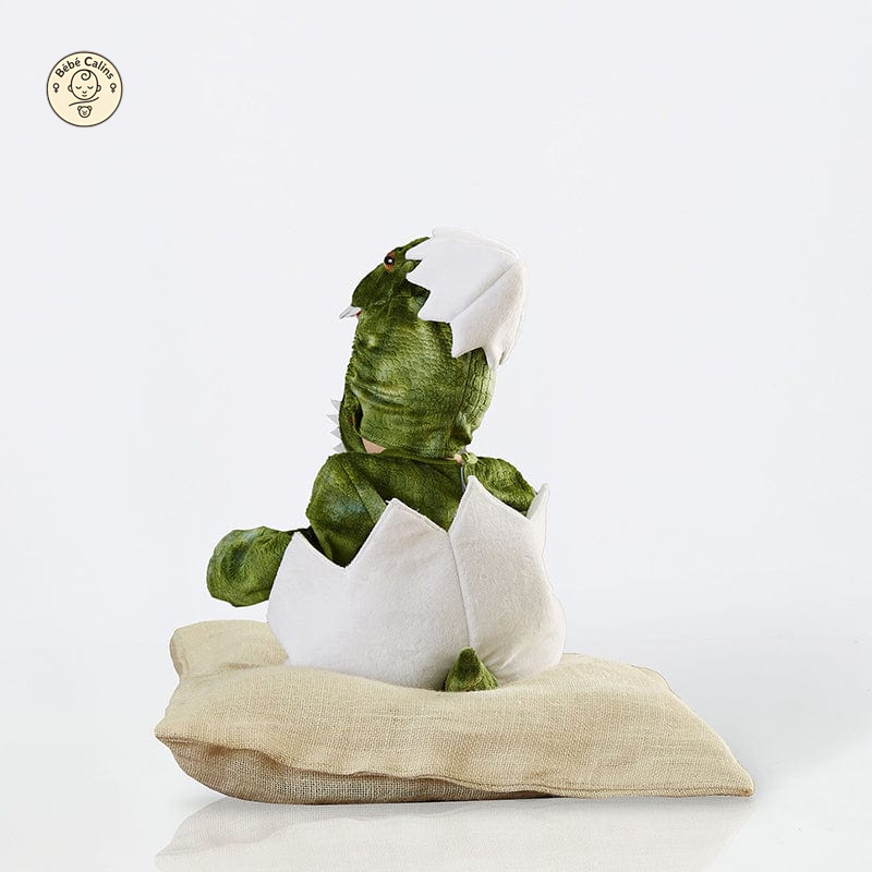 Déguisement Dinosaure Bébé avec Bonnet Vert