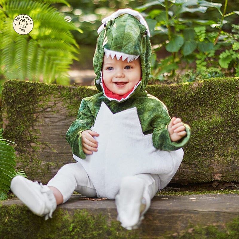 Déguisement Dinosaure Bébé avec Bonnet Vert