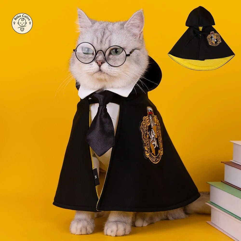 Déguisement harry potter pour chiens et chats