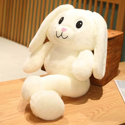 Coco le lapin aux grandes oreilles