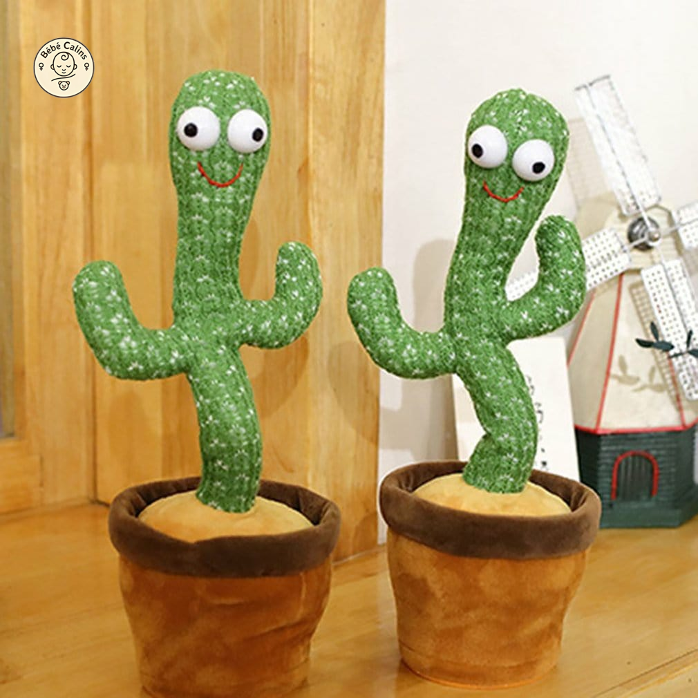 Cactus Chantant et Dansant