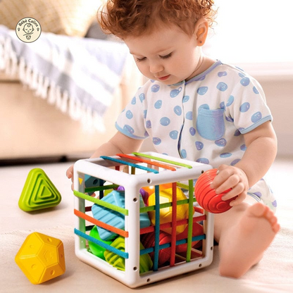 Cube d'éveil