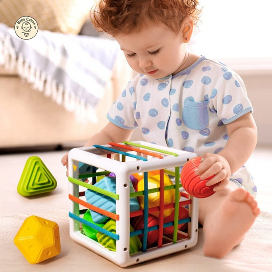 Cube d'éveil
