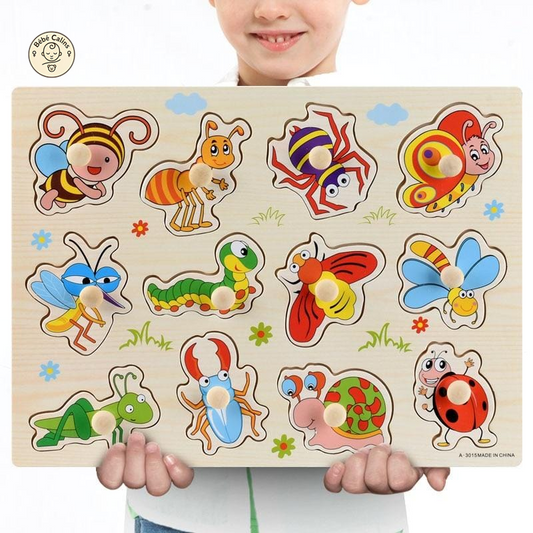 Formes en Bois à Replacer Animaux et Insectes