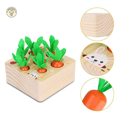Jouets carottes Montessori en bois