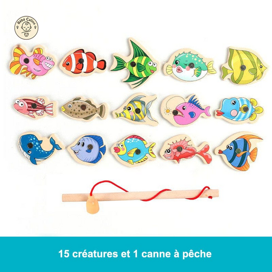 Jouets de Pêche Magnétique