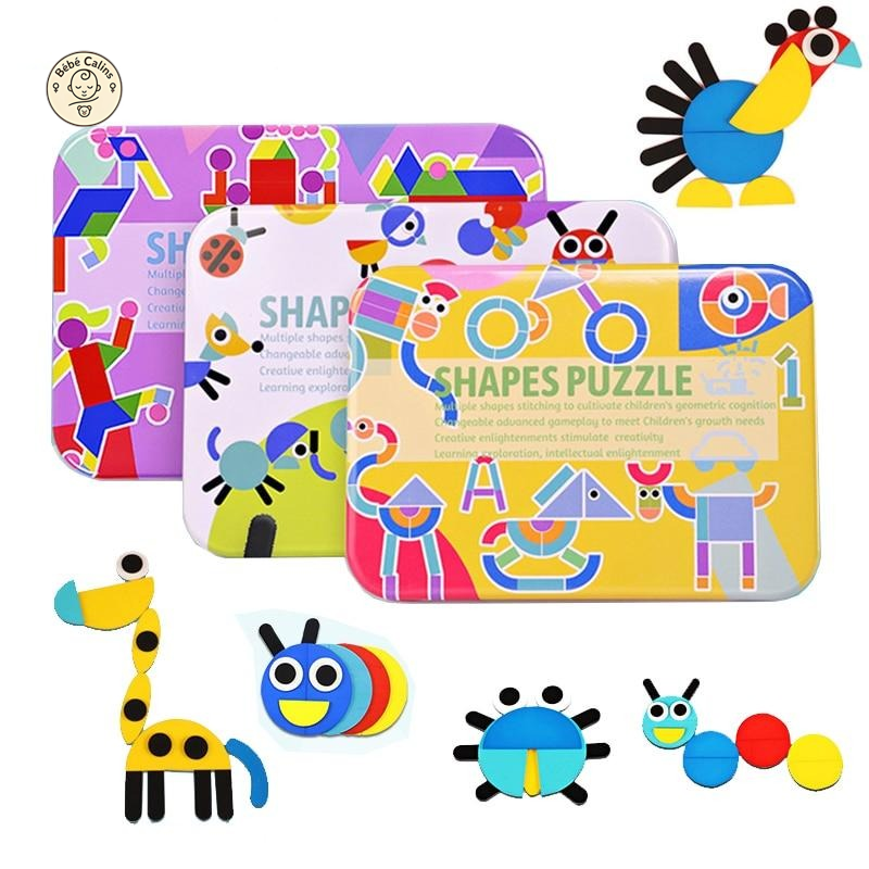 Coffret Puzzle Montessori avec Cartes