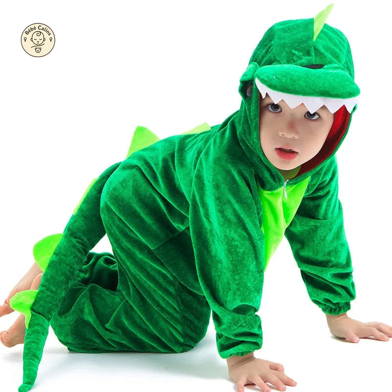 Déguisement dinosaure 2 à 8 ans confortable