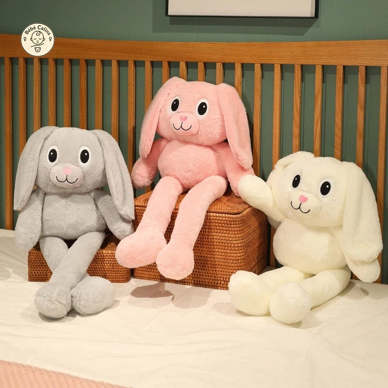 Coco le lapin aux grandes oreilles