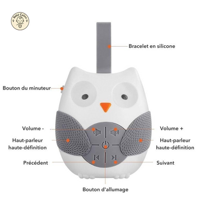 Veilleuse hibou musicale Owliiz™