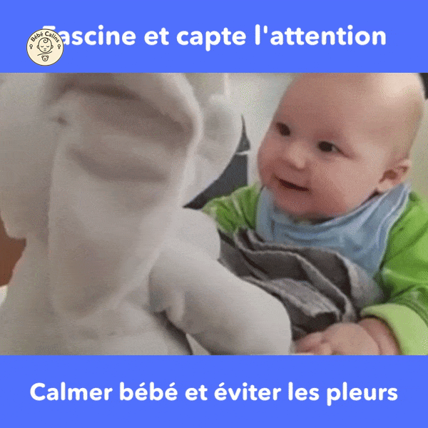 L'éléphant Bibou en Français | Bébé Calins