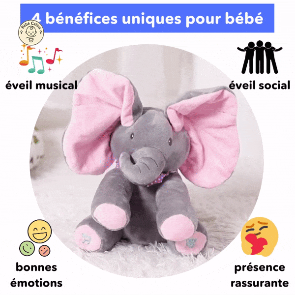 Bibou : l'Elephant Cache-Cache Musical | Bébé Calins